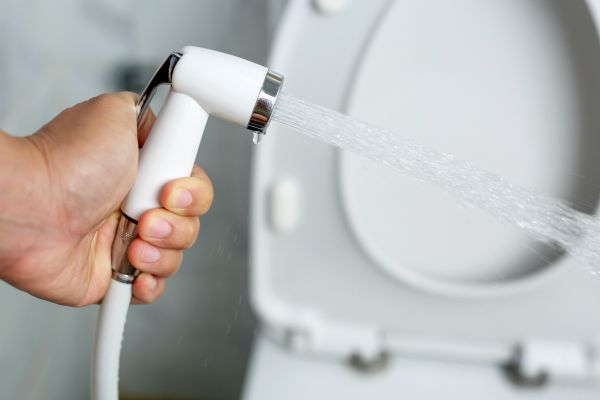 Cost of Bidet Installation in New Castle