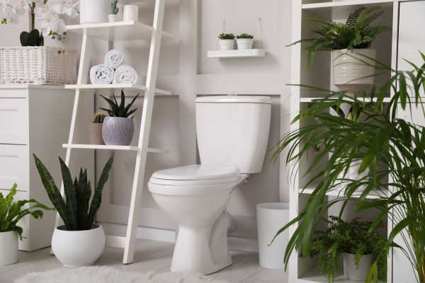 Cost of Toilet Repair in New Castle