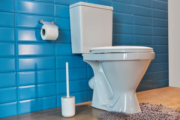 Cost of Toilet Tank Repair in New Castle