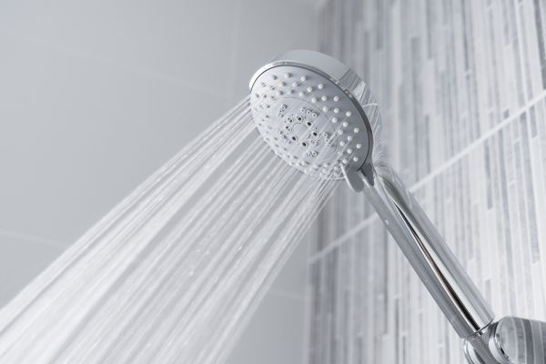 Cost of Showerhead Replacement in New Castle