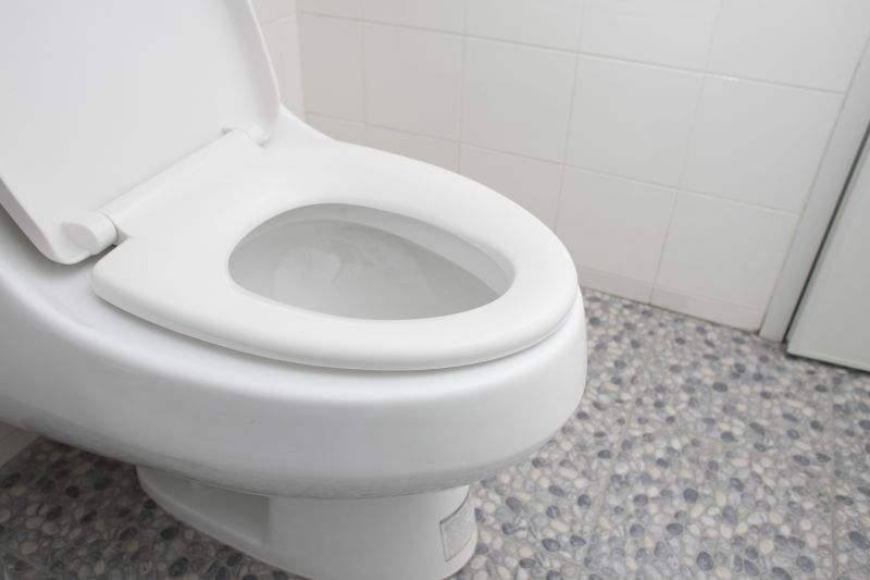 New Toilet Installation