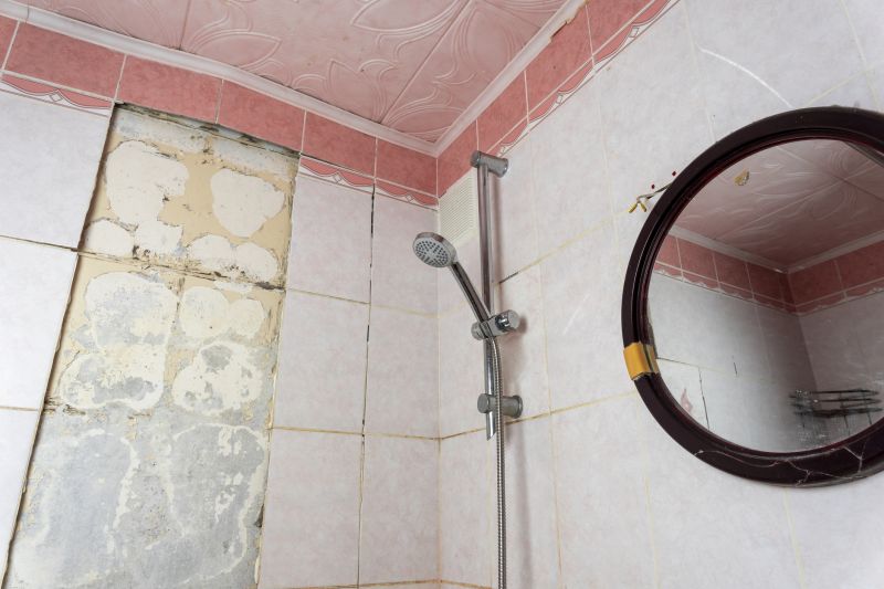 Shower Panel Repair