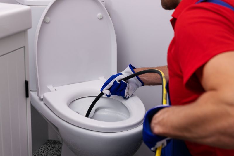 Toilet Removal
